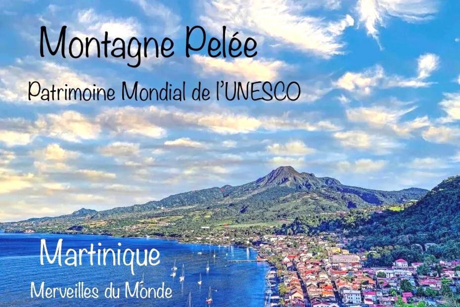 Lodge Pamplemousse Avec Piscine Privative , Dans Parc Calme A 500 M Plage Λε Καρμπέ Εξωτερικό φωτογραφία